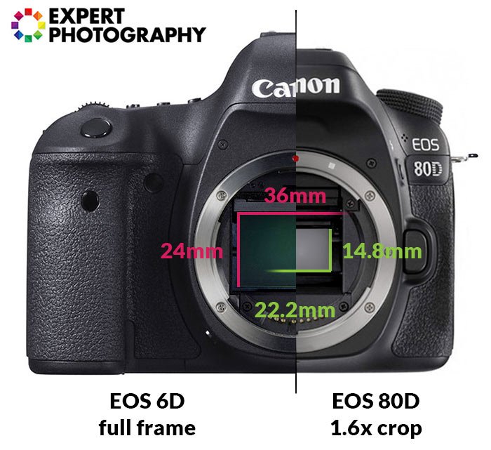 Камера canon с наложенными определениями терминов фотографии