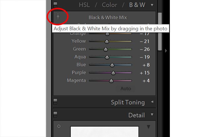 Скриншот редактирования черно-белой фотографии в Lightroom