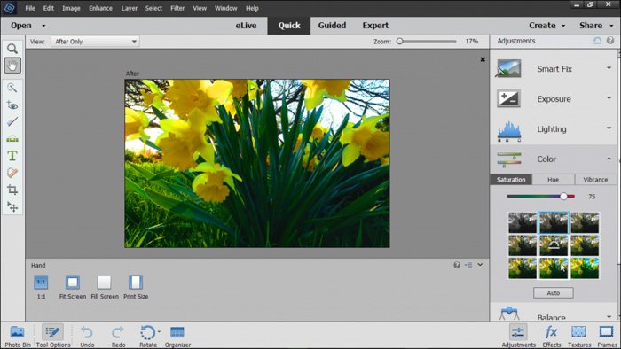 скриншот программы для редактирования фотографий adobe elements в быстром режиме