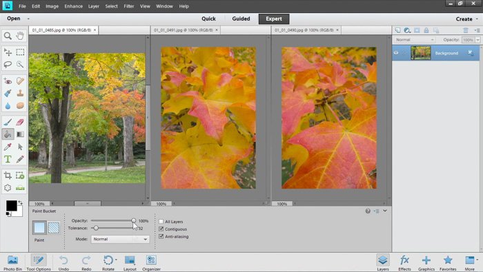 скриншот программы для редактирования фотографий adobe elements с режимами quick, guided и expert