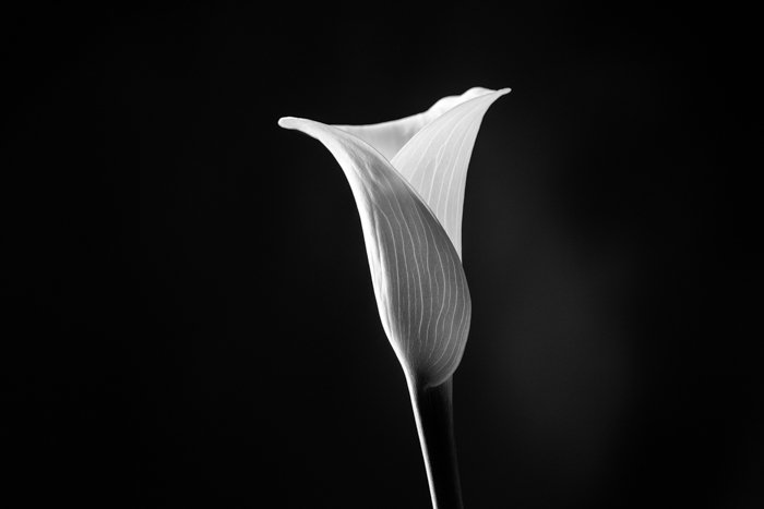 черно-белое минималистское изображение