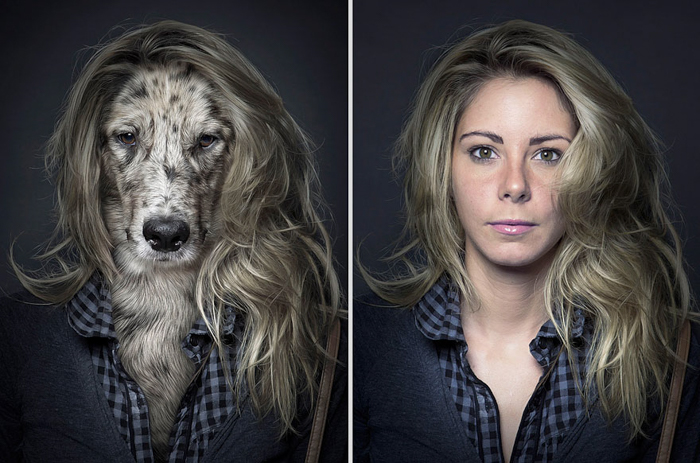 Идея диптиха из фотографий домашних животных, где собака и ее хозяин выглядят одинаково