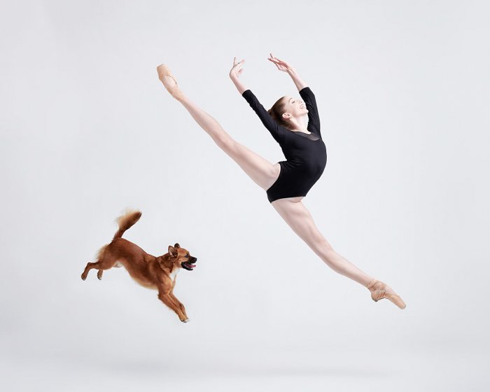Балерина прыгает рядом с маленькой собачкой