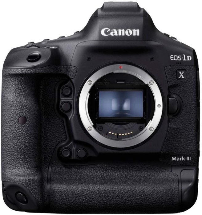 Canon EOS 1DX Mark III dslr camera for wildlife photography