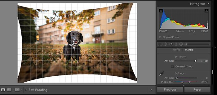 Скриншот редактирования фотографий с помощью инструмента Perspective correction в Adobe Lightroom