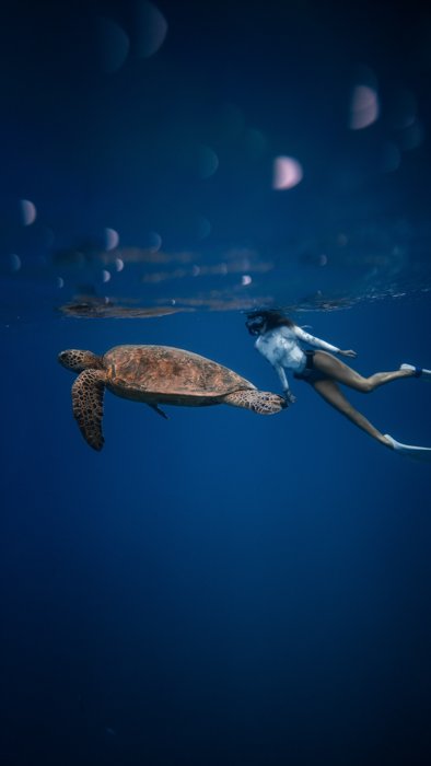 изображение женщины, занимающейся сноркелингом рядом с морской черепахой