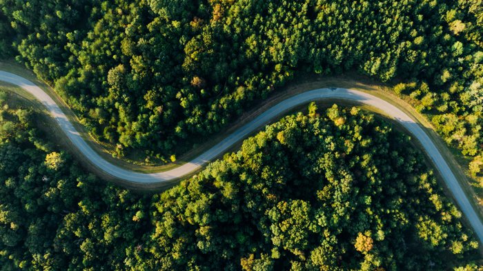 снимок с дрона извилистой дороги через зеленый лес