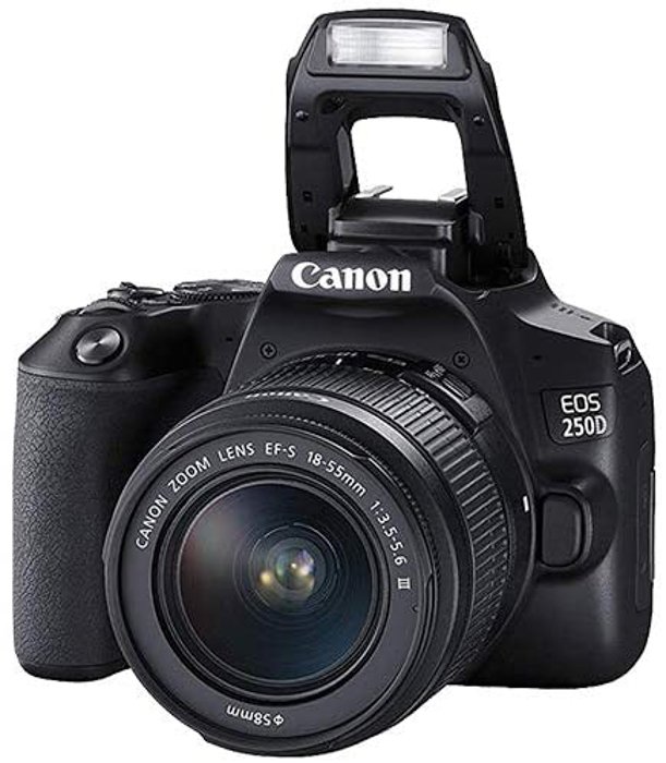 изображение Canon EOS 250D