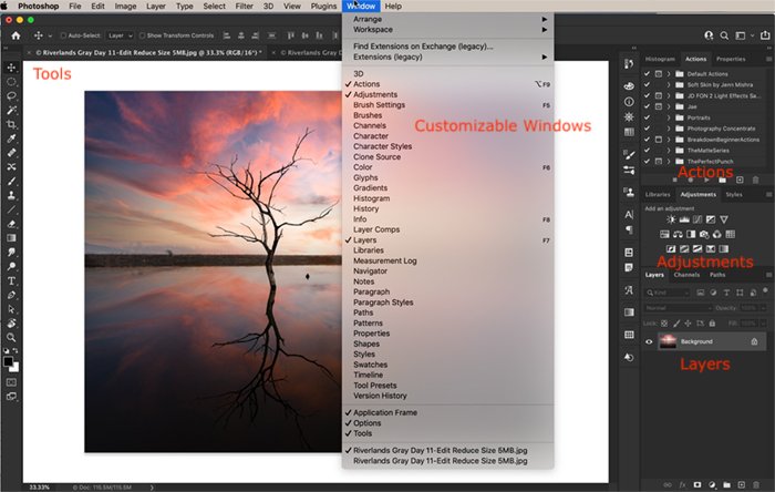 Рабочее пространство Photoshop CC с изображением заката и дерева