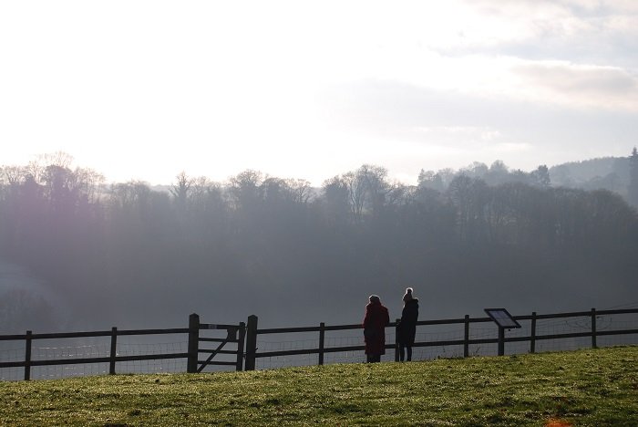 два человека стоят у деревянного забора в зеленом поле