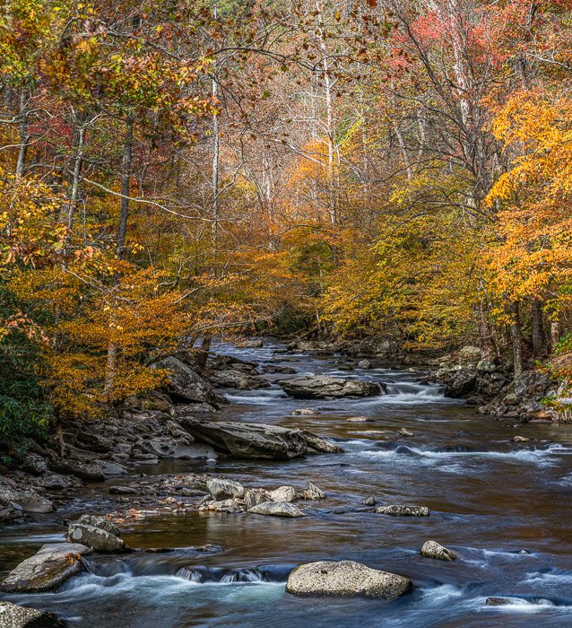 Текущая река в окружении осенних деревьев для иллюстрации рекомендуемых параметров пейзажной фотографии