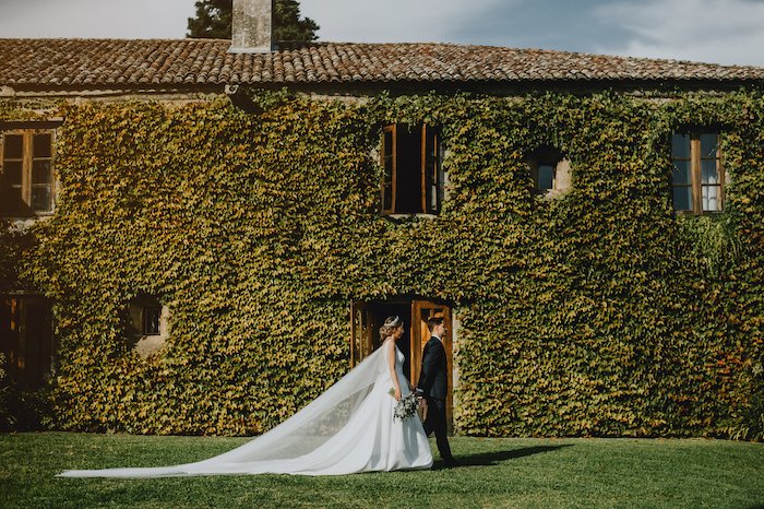 Изображение пары в день свадьбы на полнокадровой камере перед стеной, увитой вьющимися растениями