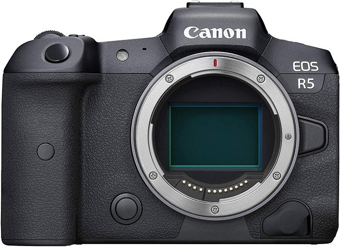 лучшая беззеркальная камера для путешествий 2021 профессиональный Canon EOS R5