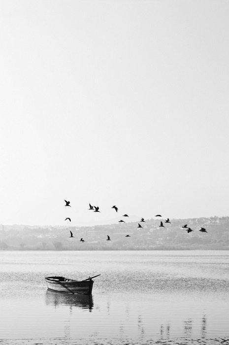 черно-белые фильмы фото лодки с птицами над головой