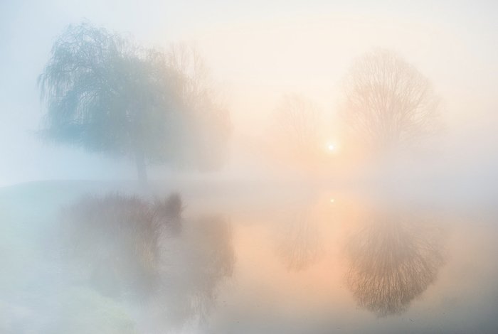 сюрреалистическая пейзажная фотография: солнечный свет просвечивает между деревьями и сквозь туман