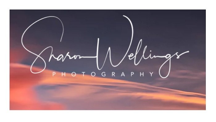 Подпись Шарон Веллингс как логотип