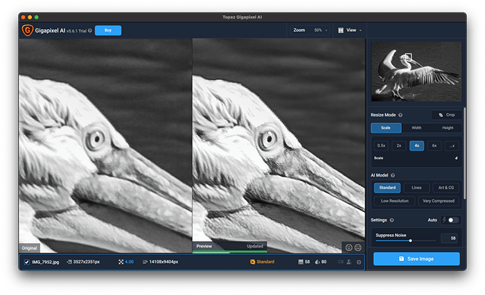 скриншот topaz gigapixel ai на примере пеликана