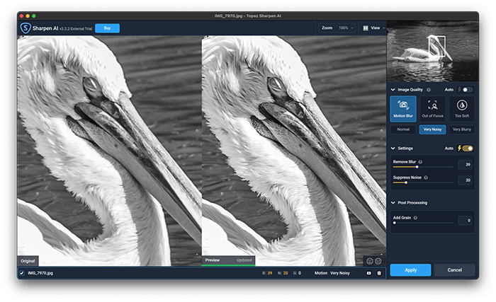 скриншот фоторедактора topaz sharpen ai на примере пеликана