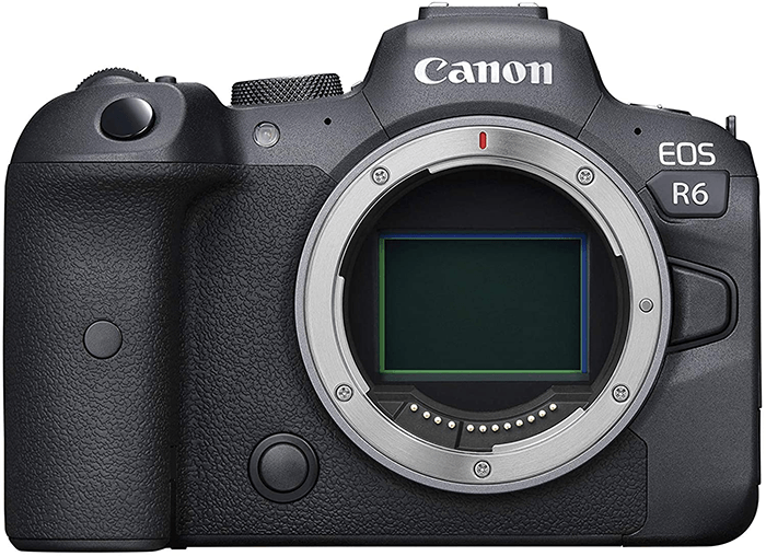 лучший фотоаппарат для свадебной фотографии Canon EOS R6