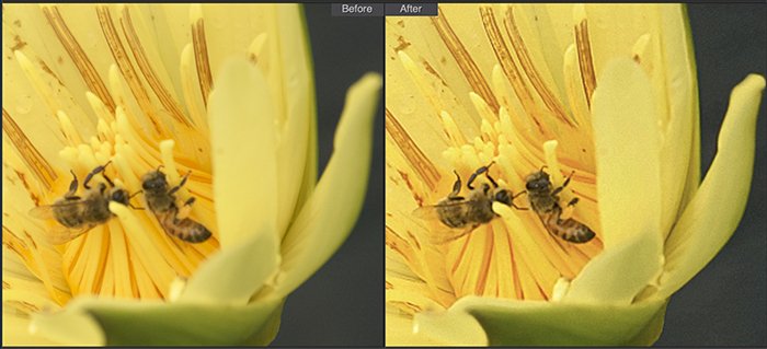 Сравнение до и после деблюра PhotoDirector