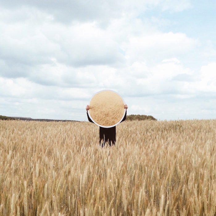 diy light reflector: Человек держит отражатель в пшеничном поле