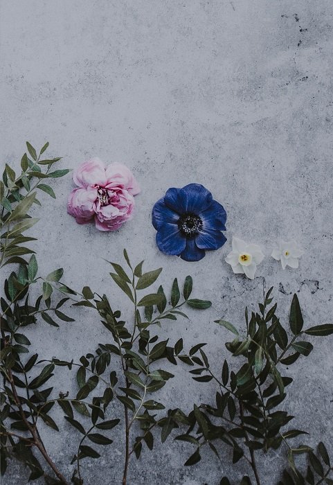 floral flat lay: смелая композиция за счет разделения цветов в середине изображения