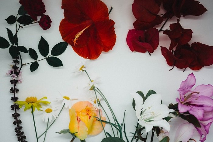 floral flat lay photography: multiple flowers used to give the feeling of summer