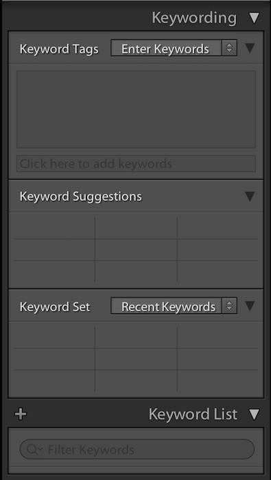 Функция записи ключевых слов в Adobe Lightroom с предложениями ключевых слов и списком ключевых слов