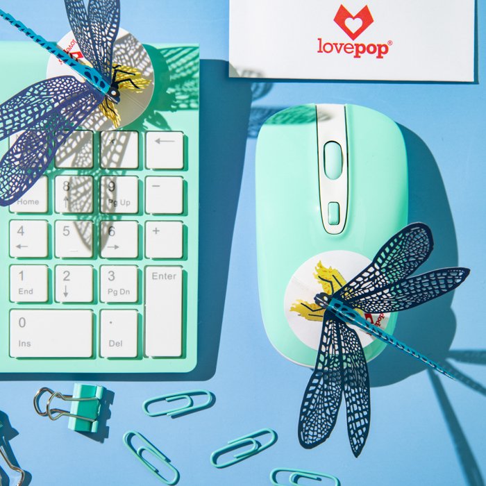 Flat lay product photography image of dragonflies on the mouse and keyboard using rule of thirds