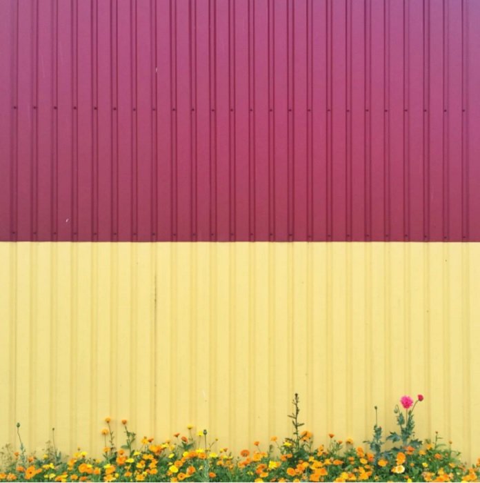 идеи фотосессии в стиле колор блок: фотография в стиле колор блок с дополняющими желтыми и фиолетовыми стенами
