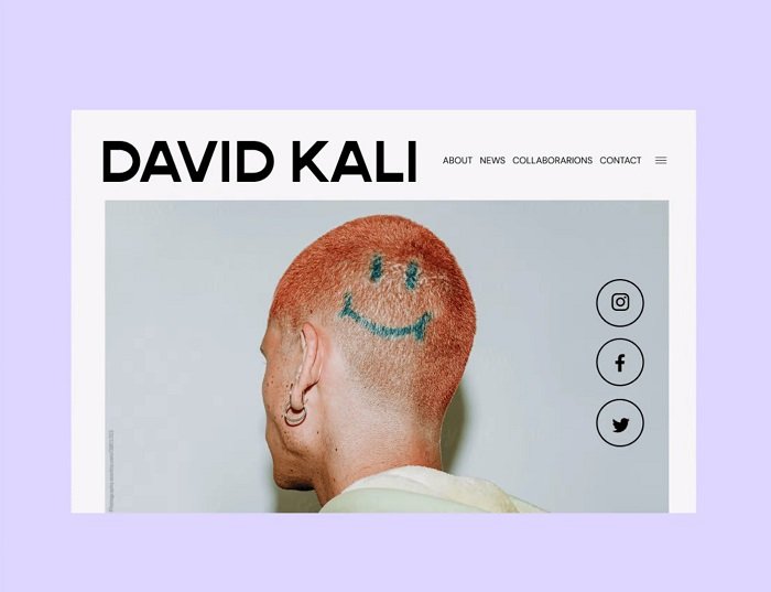 пример сайта, использующего Дэвида Кали в качестве художника
