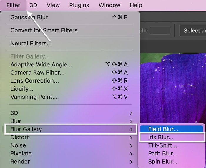 Скриншот открытия галереи для инструментов размытия в Photoshop