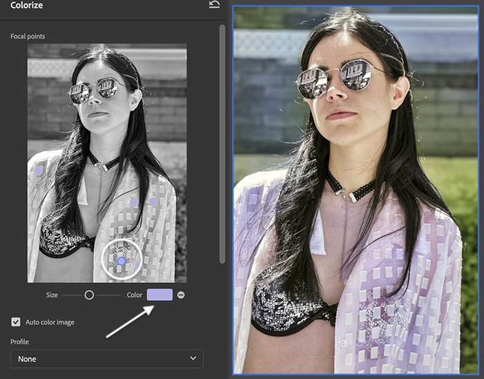 Скриншот панели нейрофильтра Colorize Photoshop, выделяющей фокусные точки на женском портрете
