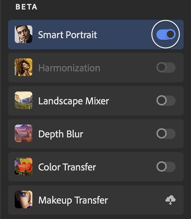 Скриншот переключения выделенной панели для нейрофильтра Photoshop Smart Portrait