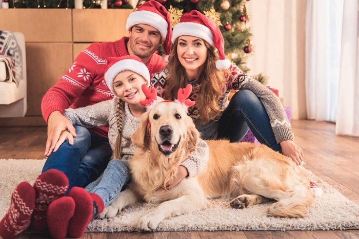 семейный портрет с золотистым ретривером перед рождественской елкой