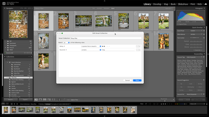 Скриншот программы для управления фотографиями Lightroom Classic
