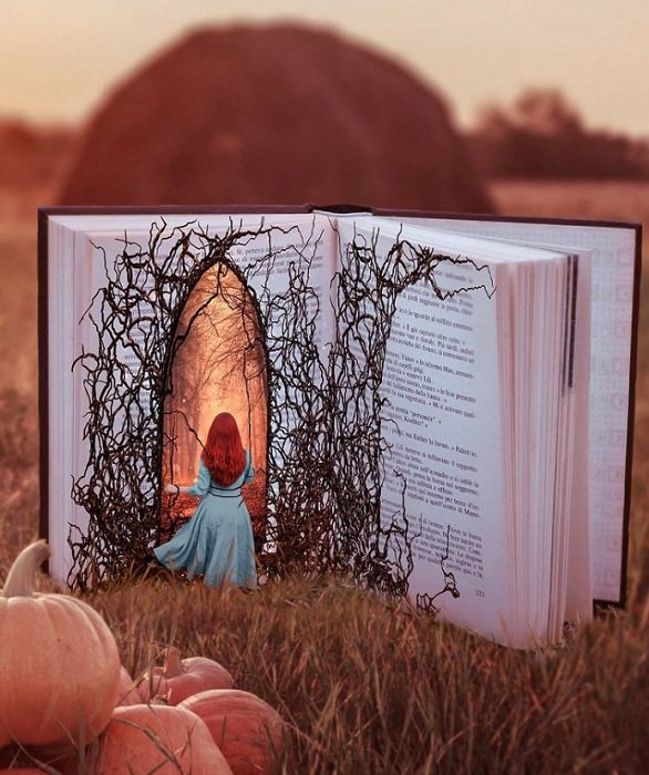 составное изображение маленькой женщины, входящей в книжный портал