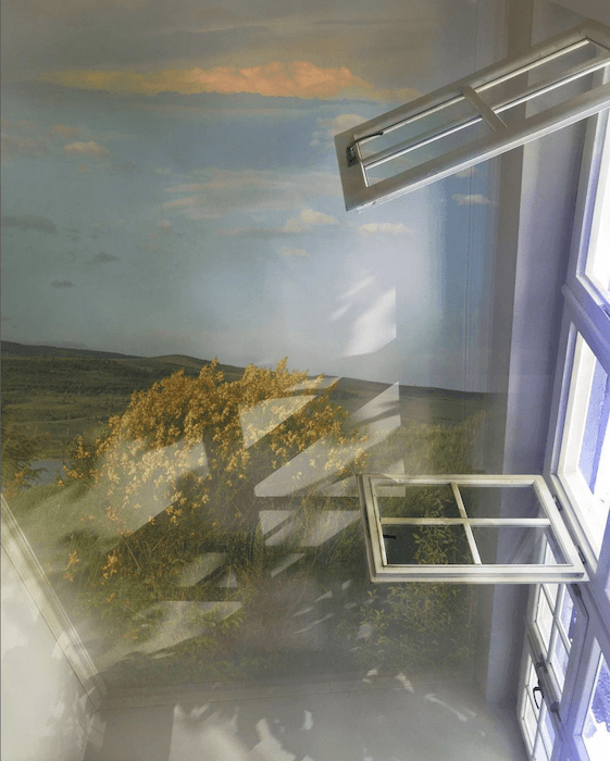 Двойная экспозиция, где камера смотрит на потолок комнаты. На этом потолке изображен пейзаж в летнее или весеннее время. 