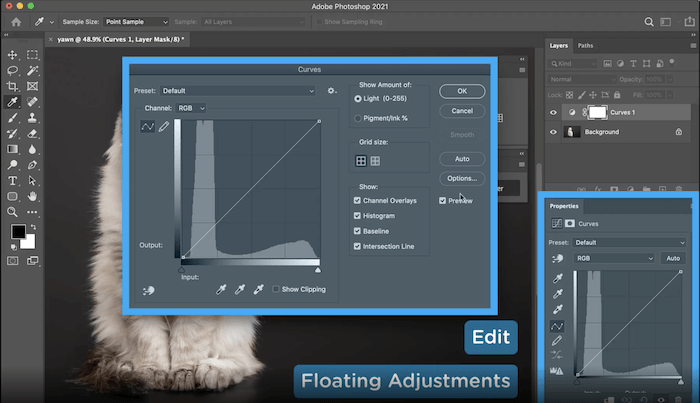Скриншот плагина Floating Adjustments free Photoshop, открывающего большую панель редактирования