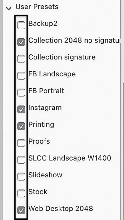 Lightroom Classic screenshot export dialog box select multiple presets