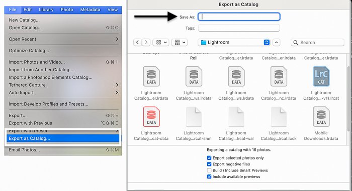 Lightroom classic 'Export as Catalog' dialog box and panel for exporting photos