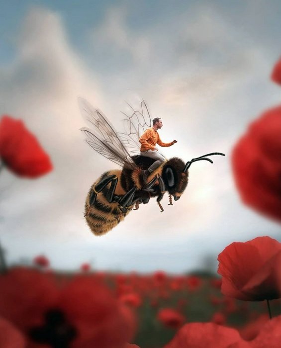 Маленький человек верхом на летающей пчеле через маковое поле как пример сказочной фотографии