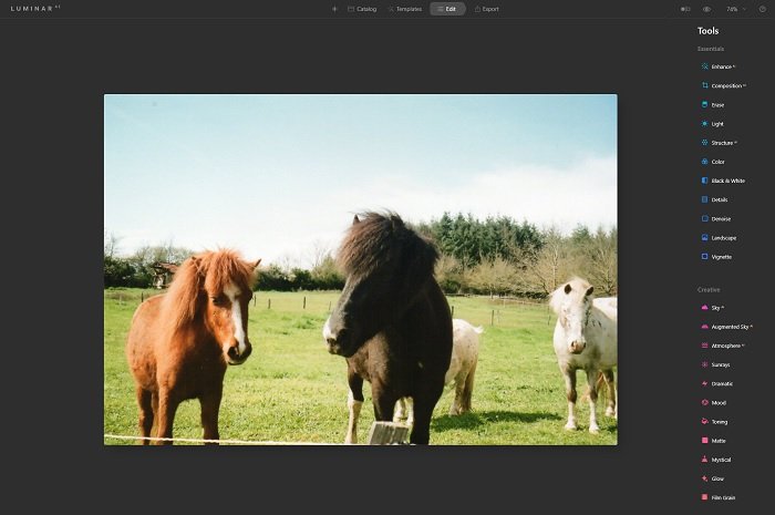 Luminar AI screen with photo of pony next to the toolbar