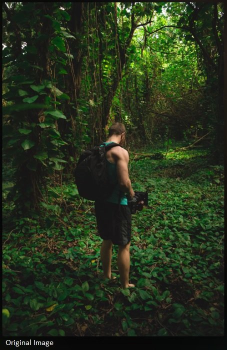 Человек держит видеокамеру на уровне пояса в джунглях