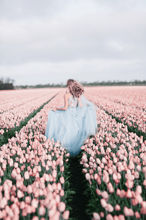 Женщина в голубом платье бежит через поле тюльпанов