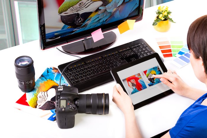 Фоторедактор работает на компьютере и графическом планшете с красочными фотографиями попугаев