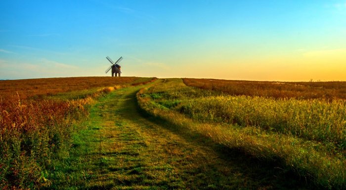 Пейзаж ветряной мельницы в поле как пример эстетической фотографии