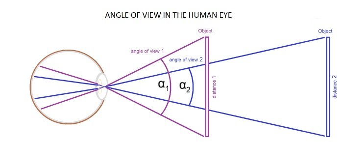 Диаграмма угла зрения человеческого глаза