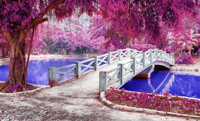 Инфракрасный эффект фильтра фотошопа на мосту и дереве
