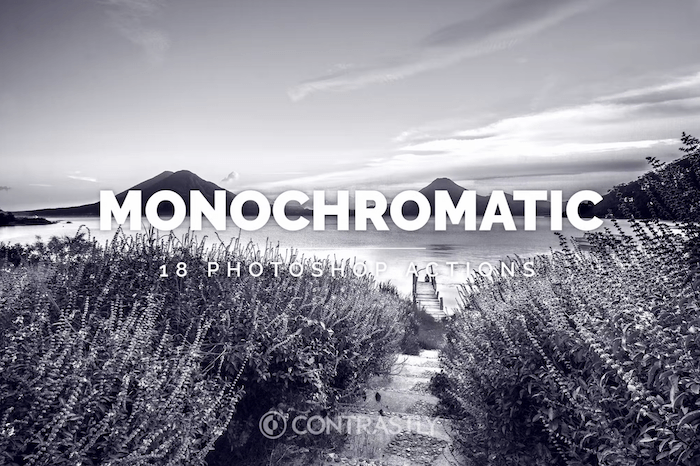 monochromatic photoshop actions